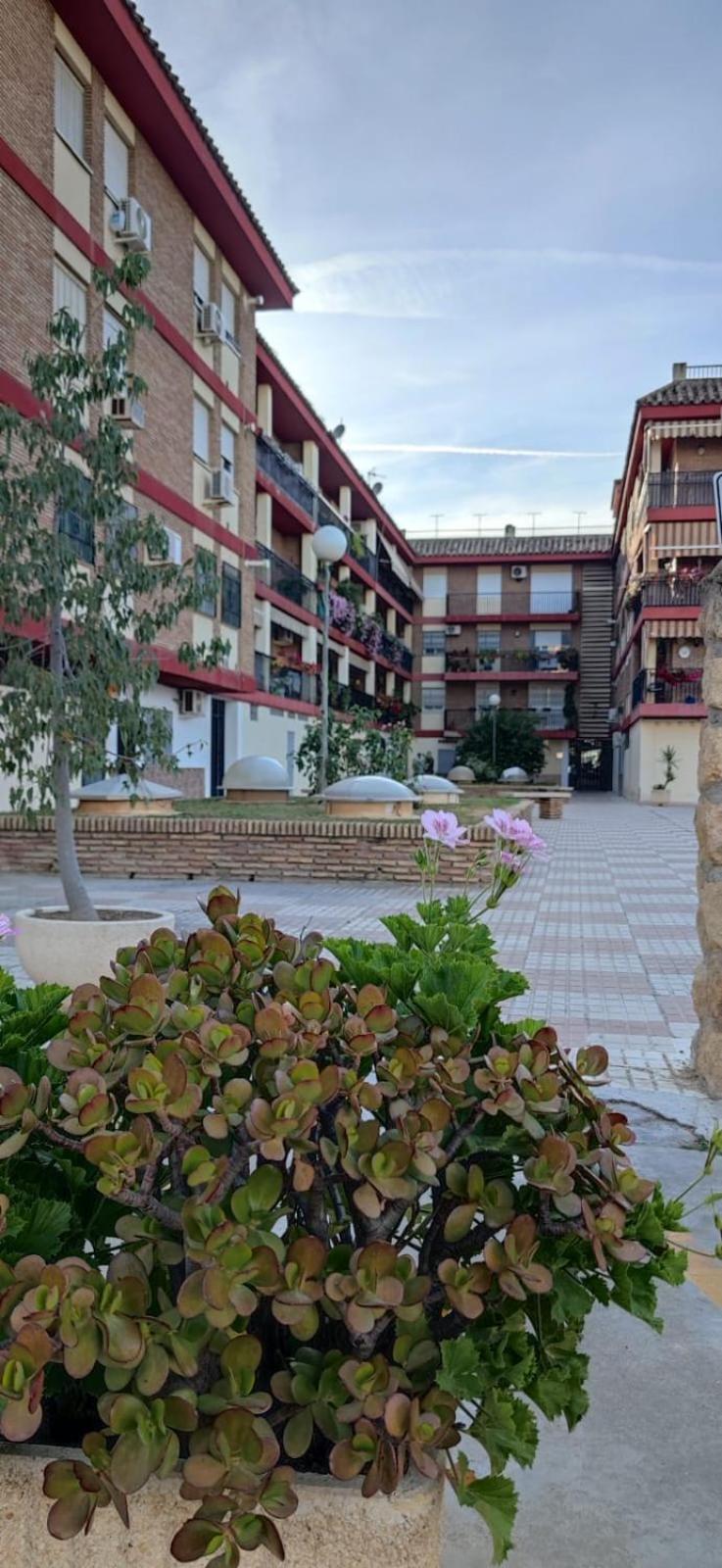 Loft A La Verita River, Parking Free Кордова Екстер'єр фото